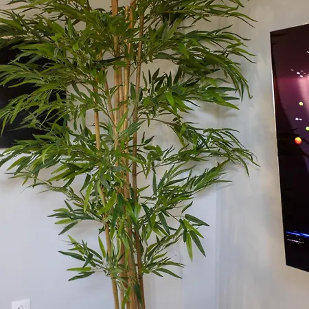 100 Mbps Smart Tv Ac Self Check In Full Kitchen Διαμέρισμα
